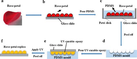 Upscaling the fabrication routine of bioreplicated rose petal light 